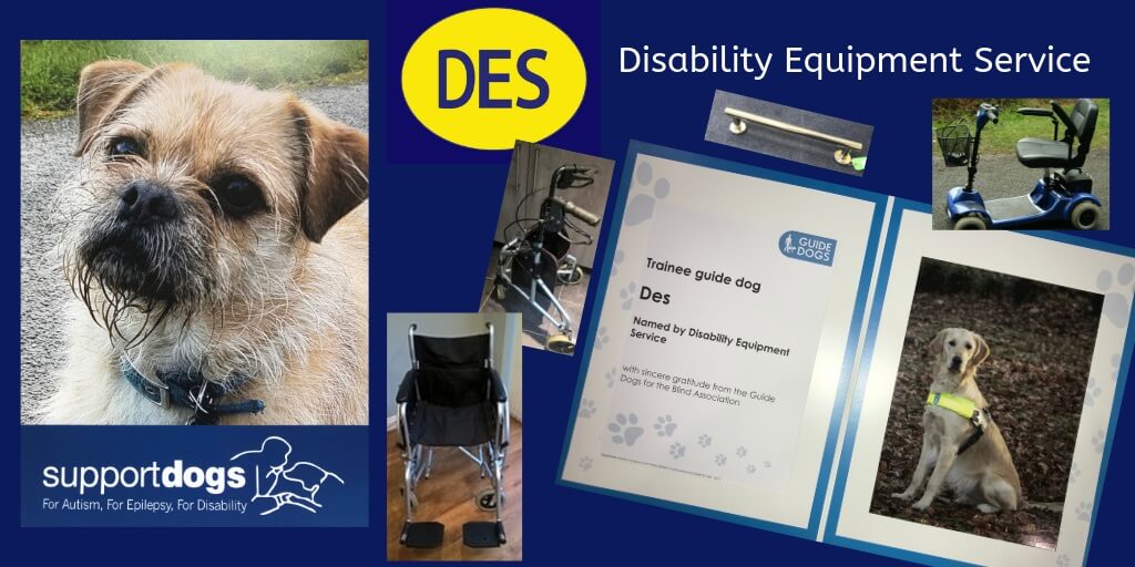 Winner small image - Disability Equipment Service